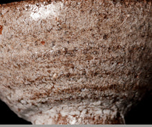 画像をギャラリービューアに読み込む, 西浦武 越前粉引茶盌