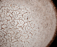 画像をギャラリービューアに読み込む, 西浦武 越前粉引茶盌