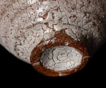 画像をギャラリービューアに読み込む, 西浦武 越前粉引茶盌