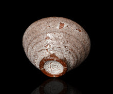 画像をギャラリービューアに読み込む, 西浦武 越前粉引茶盌