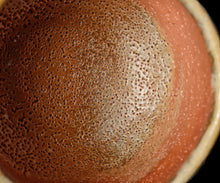 画像をギャラリービューアに読み込む, 西浦武 越前窯変茶盌