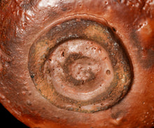 画像をギャラリービューアに読み込む, 西浦武 越前窯変茶盌