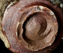 画像をギャラリービューアに読み込む, 西浦武 碧砂釉ぐい呑