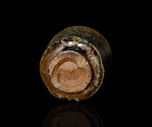 画像をギャラリービューアに読み込む, 西浦武 越前ぐい呑