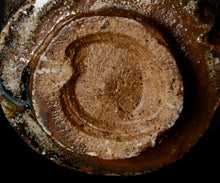 画像をギャラリービューアに読み込む, 西浦武 越前ぐい呑