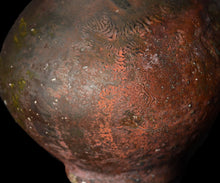 画像をギャラリービューアに読み込む, 三藤るい 黒唐津柑子口花入