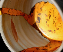 画像をギャラリービューアに読み込む, 布下翔碁 embracing-damage 001