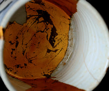 画像をギャラリービューアに読み込む, 布下翔碁 embracing-damage 001