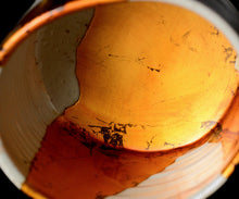 画像をギャラリービューアに読み込む, 布下翔碁 embracing-damage 002