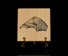 画像をギャラリービューアに読み込む, 布下翔碁 embracing-damage 002