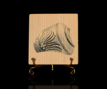 画像をギャラリービューアに読み込む, 布下翔碁 embracing-damage 005