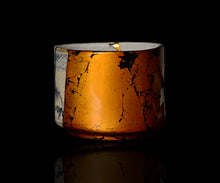 画像をギャラリービューアに読み込む, 布下翔碁 embracing-damage 004