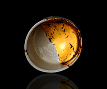 画像をギャラリービューアに読み込む, 布下翔碁 embracing-damage 004