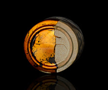 画像をギャラリービューアに読み込む, 布下翔碁 embracing-damage 004