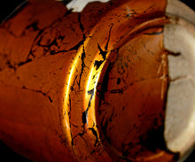 画像をギャラリービューアに読み込む, 布下翔碁 embracing-damage 004