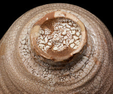 画像をギャラリービューアに読み込む, 金宗勲 大井戸茶盌 銘「鶴田」