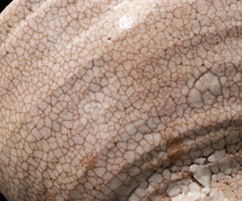 画像をギャラリービューアに読み込む, 金宗勲 大井戸茶盌 銘「鶴田」