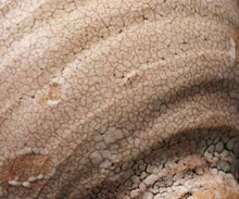 画像をギャラリービューアに読み込む, 金宗勲 大井戸茶盌 銘「鶴田」