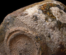 画像をギャラリービューアに読み込む, 岡本作礼 黒織部唐津円相茶盌