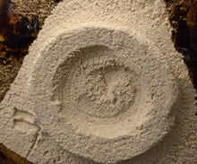 画像をギャラリービューアに読み込む, 鈴木徹 三彩茶盌