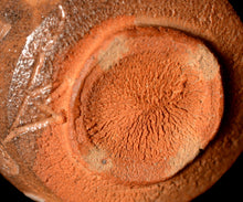 画像をギャラリービューアに読み込む, 三藤るい 彫唐津ぐい呑