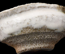 画像をギャラリービューアに読み込む, 岡本作礼 朝鮮唐津沓ぐい呑