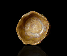 画像をギャラリービューアに読み込む, 松村遷 本沼淡雪手黄瀬戸酒盃