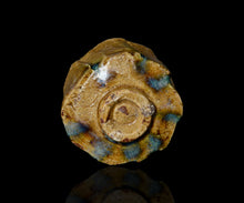 画像をギャラリービューアに読み込む, 松村遷 本沼淡雪手黄瀬戸酒盃