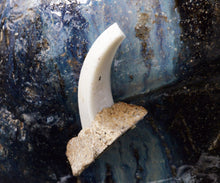 画像をギャラリービューアに読み込む, 岡本作礼 朝鮮唐津花入 銘「窯の幸」