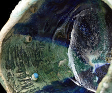 画像をギャラリービューアに読み込む, 澤田勇人 宙・織部 茶垸