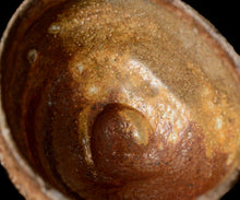 画像をギャラリービューアに読み込む, ジェフシャピロ 灰釉ぐい呑