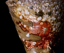 画像をギャラリービューアに読み込む, ジェフシャピロ 灰釉ぐい呑