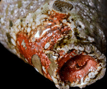 画像をギャラリービューアに読み込む, ジェフシャピロ 灰釉ぐい呑