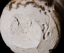 画像をギャラリービューアに読み込む, マイケルマルティノ 泉山染付ぐい呑