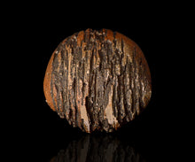 画像をギャラリービューアに読み込む, 泉田之也 片盌