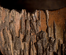 画像をギャラリービューアに読み込む, 泉田之也 片盌