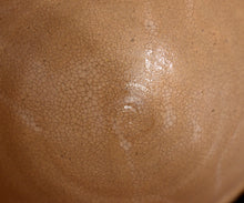 画像をギャラリービューアに読み込む, 金宗勲 大井戸茶盌 銘「天樹」