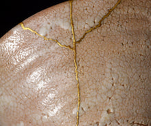 画像をギャラリービューアに読み込む, 金宗勲 古井戸茶盌 銘「山法師」