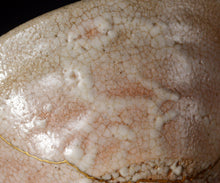 画像をギャラリービューアに読み込む, 金宗勲 古井戸茶盌 銘「山法師」