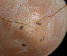 画像をギャラリービューアに読み込む, 金宗勲 古井戸茶盌 銘「山法師」