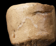 画像をギャラリービューアに読み込む, 川瀬隆一郎 崎陽高麗 らく井戸久い乃み