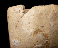 画像をギャラリービューアに読み込む, 川瀬隆一郎 崎陽高麗 らく井戸久い乃み