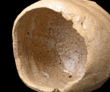 画像をギャラリービューアに読み込む, 川瀬隆一郎 崎陽高麗 らく井戸久い乃み