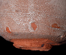 画像をギャラリービューアに読み込む, 松崎幹 長石釉茶盌