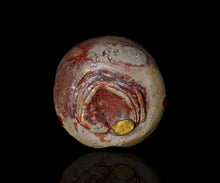 画像をギャラリービューアに読み込む, 川瀬隆一郎 崎陽高麗 らく井戸茶盌