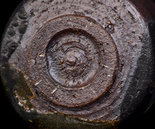 画像をギャラリービューアに読み込む, 通次廣 薩摩手茶盌