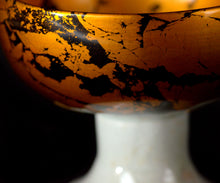 画像をギャラリービューアに読み込む, 布下翔碁 embracing-damage 011