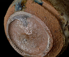 画像をギャラリービューアに読み込む, マイケルマルティノ 朝鮮唐津ぐい呑