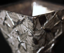 画像をギャラリービューアに読み込む, 多田幸史 葉紋白金彩 ぐい呑