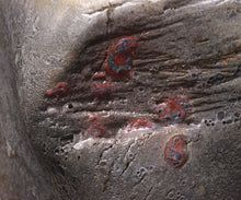 画像をギャラリービューアに読み込む, 川瀬隆一郎 漆桶手 ねじ四方盌 銘「天啓」